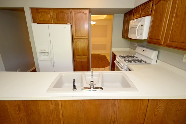 5 E Walnut St, Roselle, IL 60172 photo 6