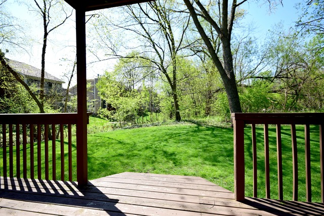 5 E Walnut St, Roselle, IL 60172 photo 21