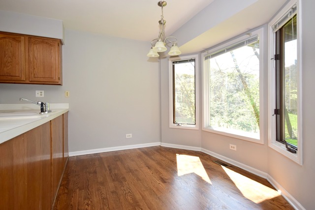 5 E Walnut St, Roselle, IL 60172 photo 8