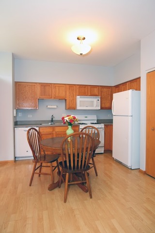 1411 Red Top Ln, Minooka, IL 60447 photo 8
