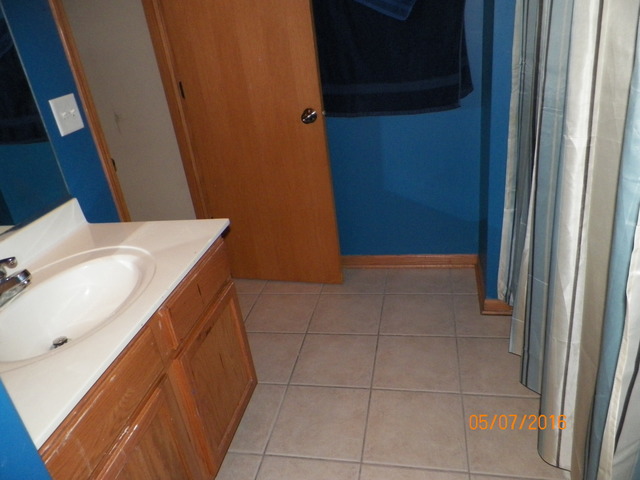 1411 Red Top Ln, Minooka, IL 60447 photo 11