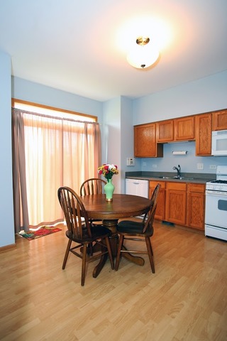 1411 Red Top Ln, Minooka, IL 60447 photo 7