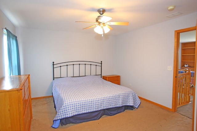 1411 Red Top Ln, Minooka, IL 60447 photo 12