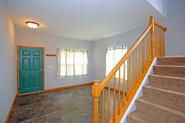1411 Red Top Ln, Minooka, IL 60447 photo 5