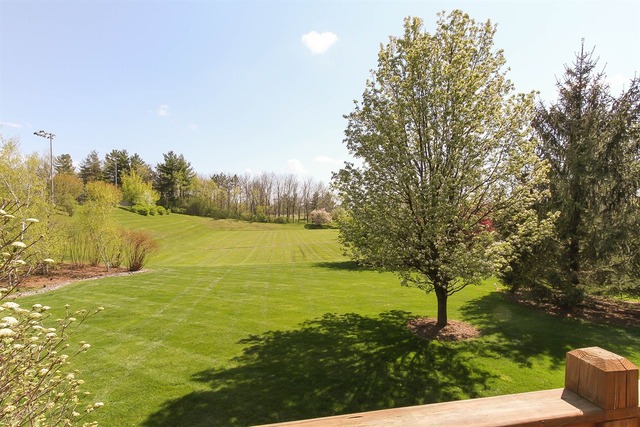 931 Hayrack Dr, Algonquin, IL 60102 photo 22
