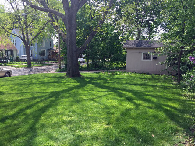 329 Jefferson Ave, Elgin, IL 60120 photo 20