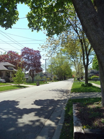 338 Moseley St, Elgin, IL 60123 photo 19