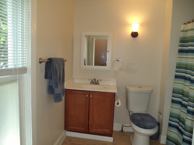 338 Moseley St, Elgin, IL 60123 photo 16