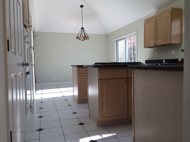 356 N Wolf Rd, Des Plaines, IL 60016 photo 8