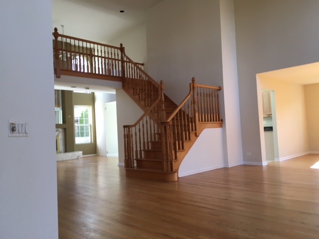356 N Wolf Rd, Des Plaines, IL 60016 photo 3