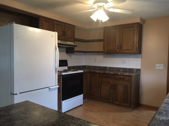 208 E Center St, Mount Morris, IL 61054 photo 5