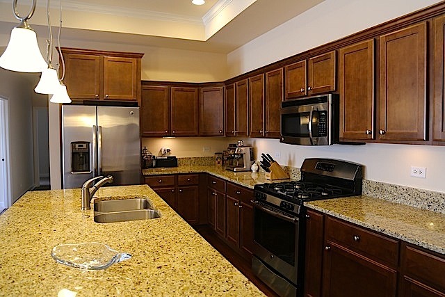 16559 S Fox Run Cir, Plainfield, IL 60586 photo 4