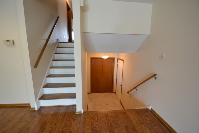 3348 S Normal Ave, Chicago, IL 60616 photo 6