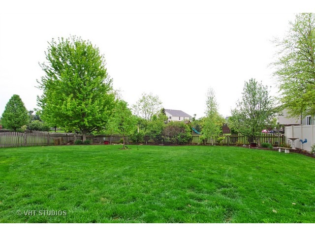 25155 Constitution Ct, Plainfield, IL 60544 photo 25