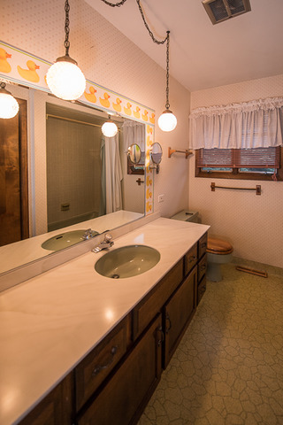 250 2nd St, Elgin, IL 60123 photo 15