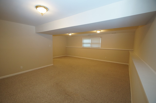 15155 S Michael Dr, Plainfield, IL 60544 photo 10