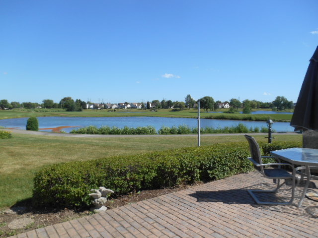 13480 Redberry Cir, Plainfield, IL 60544 photo 11