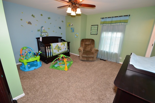 602 Declaration Ln, Aurora, IL 60502 photo 13