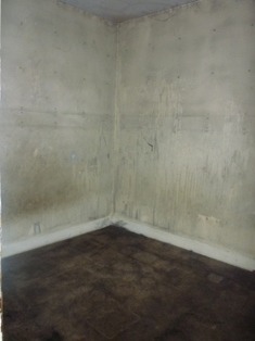 1054 E 93rd St, Chicago, IL 60619 photo 8