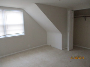 17848 Lorenz Ave, Lansing, IL 60438 photo 10