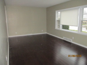 17848 Lorenz Ave, Lansing, IL 60438 photo 4