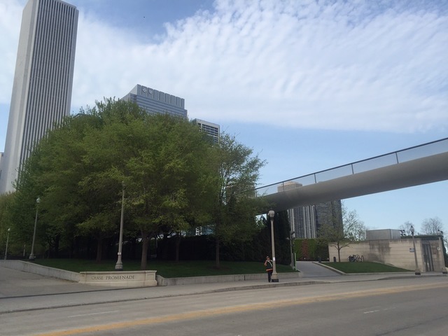 6 E Monroe St #1203, Chicago, IL 60603 photo 18