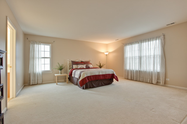 218 Thrush Cir, Lindenhurst, IL 60046 photo 13