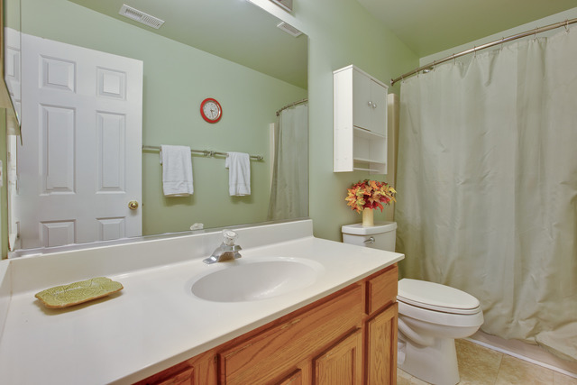 218 Thrush Cir, Lindenhurst, IL 60046 photo 18