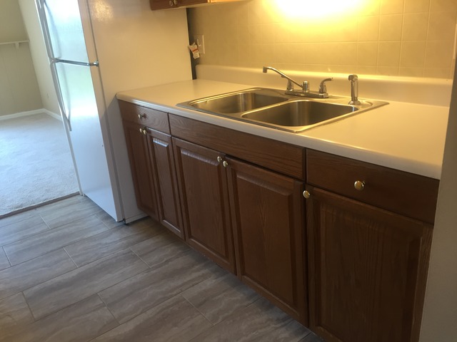 1119 S Curtis Ave #E55, Kankakee, IL 60901 photo 8