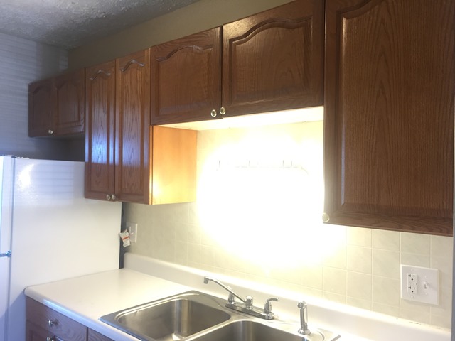 1119 S Curtis Ave #E55, Kankakee, IL 60901 photo 6