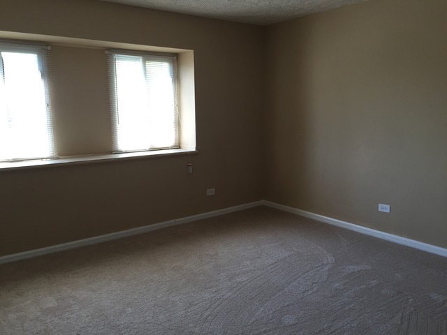 1119 S Curtis Ave #E55, Kankakee, IL 60901 photo 11