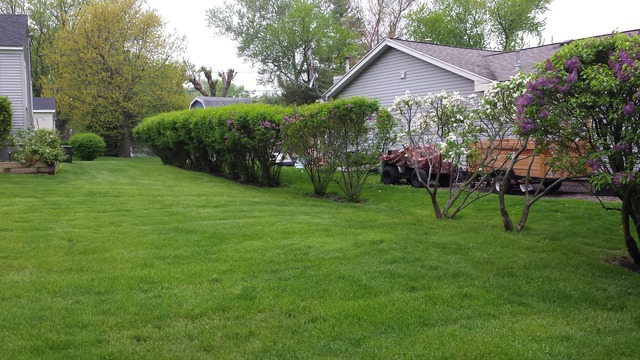 1913 Oak Dr, Mchenry, IL 60050 photo 10