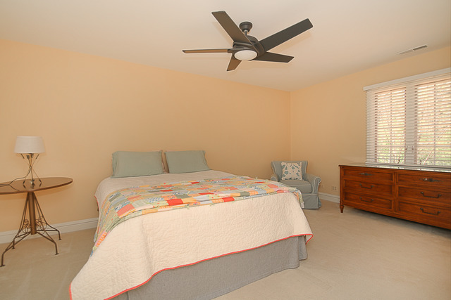 27 W145 Mack Rd, Wheaton, IL 60189 photo 19