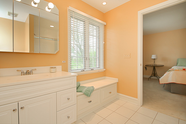 27 W145 Mack Rd, Wheaton, IL 60189 photo 20