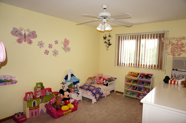 10504 Oconnell Ave, Mokena, IL 60448 photo 16