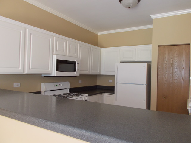 3151 Falling Waters Ln, Lindenhurst, IL 60046 photo 2