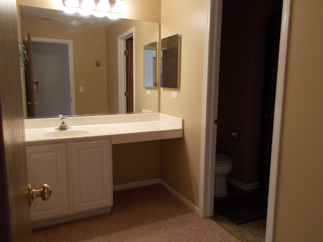 3151 Falling Waters Ln, Lindenhurst, IL 60046 photo 7