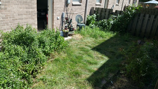 6154 S 76th Ave, Summit, IL 60501 photo 16