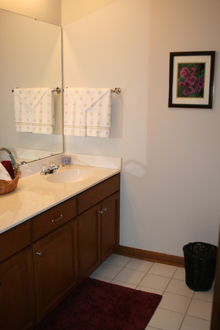 7314 Bunker Rd, Darien, IL 60561 photo 17