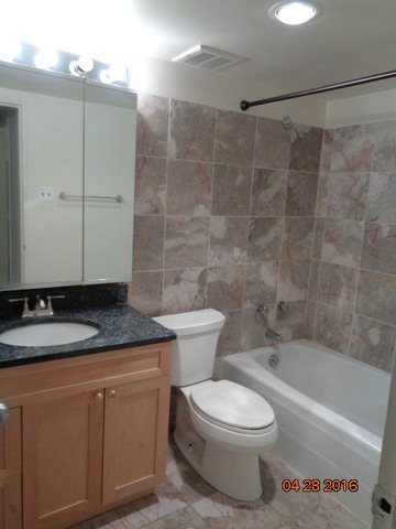 175 E Delaware Pl #6608, Chicago, IL 60611 photo 16