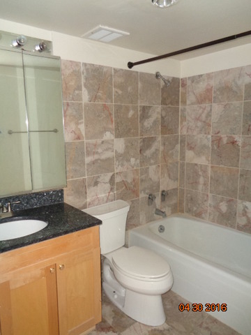 175 E Delaware Pl #6608, Chicago, IL 60611 photo 7