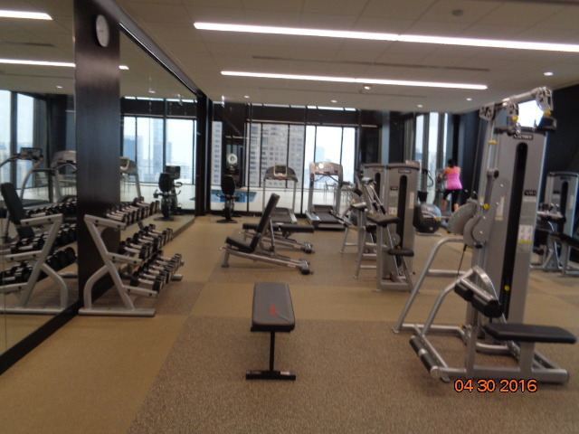 175 E Delaware Pl #6608, Chicago, IL 60611 photo 10