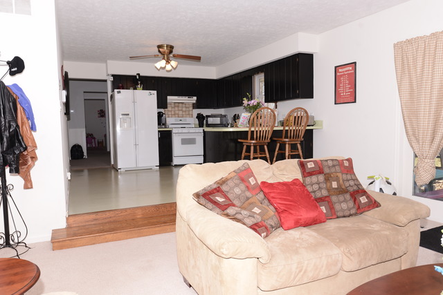 120 Deerpath Dr, Morris, IL 60450 photo 13