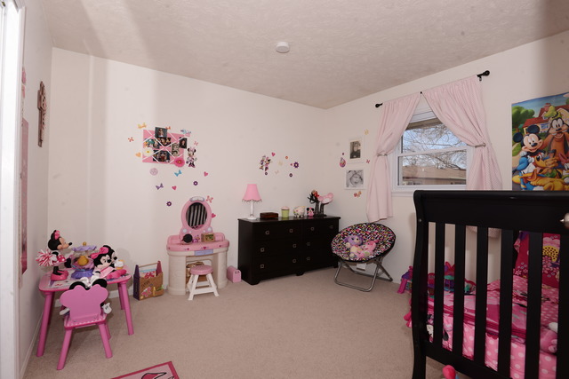 120 Deerpath Dr, Morris, IL 60450 photo 21