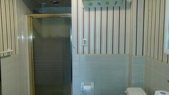 411 Edwards St, Aurora, IL 60505 photo 6