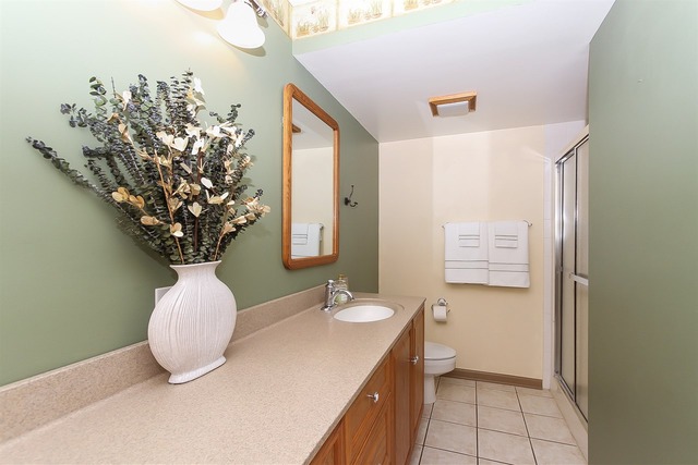252 Jervey Ln, Bartlett, IL 60103 photo 18