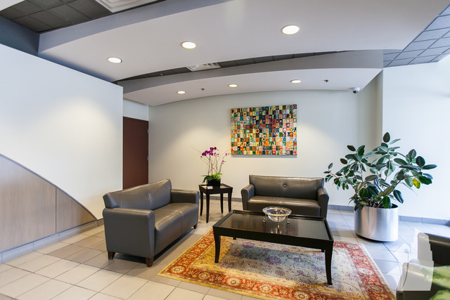 41 E 8th St #2305, Chicago, IL 60605 photo 19