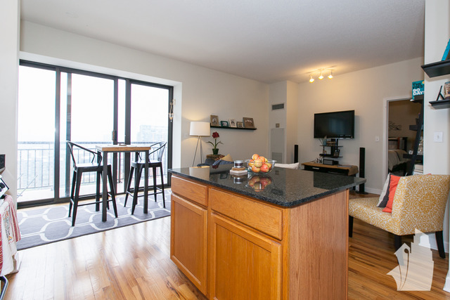 41 E 8th St #2305, Chicago, IL 60605 photo 3