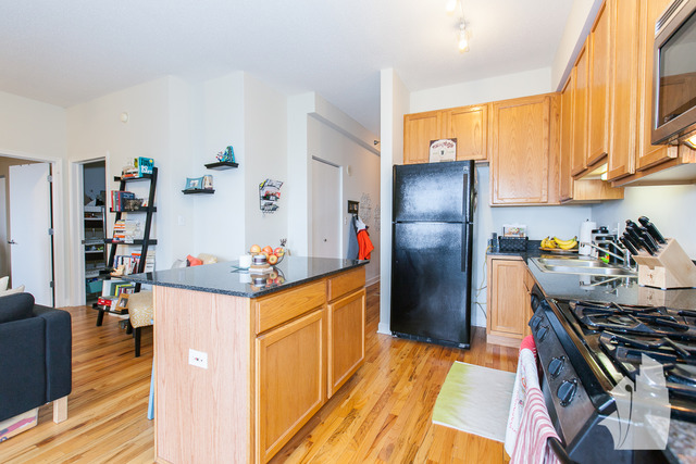 41 E 8th St #2305, Chicago, IL 60605 photo 4