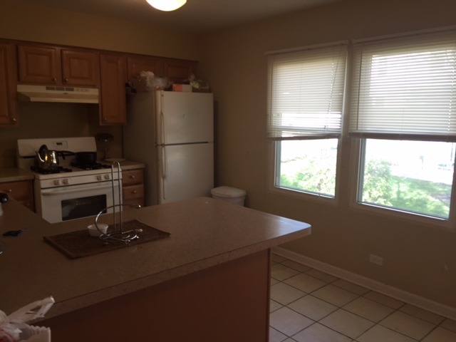 1961 Swindon Pl, Hoffman Estates, IL 60169 photo 6